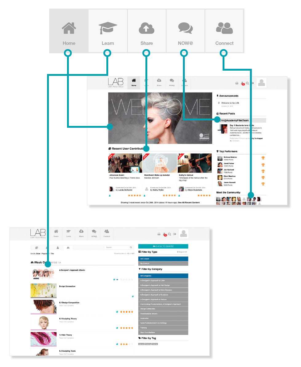 Website navigation flow with icons and sections for Home, Learn, Share, NOWE, Connect.